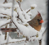 Weather : 1 gallery with 58 photos
